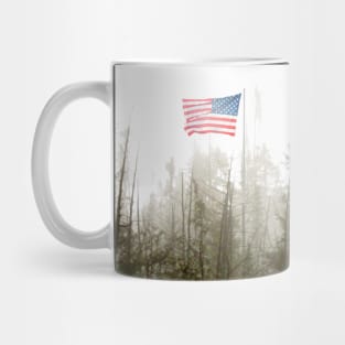 This Flag Flies Free Mug